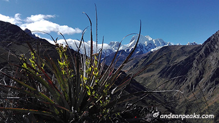 Andean Peaks